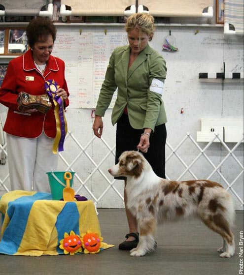 Cider: Best of Breed - 2011 GAASC Heat Is On