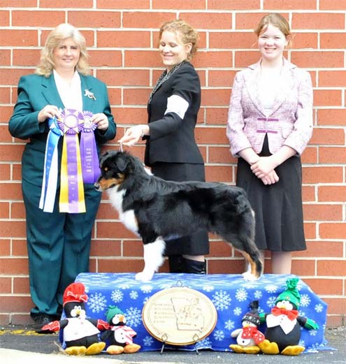 Nora: 2012 Paw N Thaw - Winner's Bitch/Best of Breed