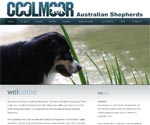 Coolmoor Australian Shepherds