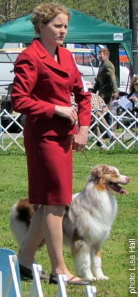 Cider AKC Groups Newnan, GA